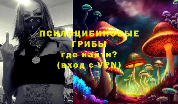 крисы Мещовск