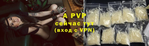 2c-b Новозыбков