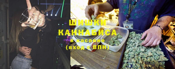 2c-b Новозыбков