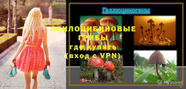 MESCALINE Новодвинск
