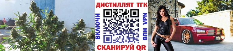 МЕГА рабочий сайт  Пучеж  ТГК жижа 