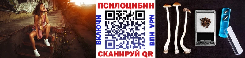 Псилоцибиновые грибы мухоморы  что такое   ОМГ ОМГ ссылка  Пучеж 