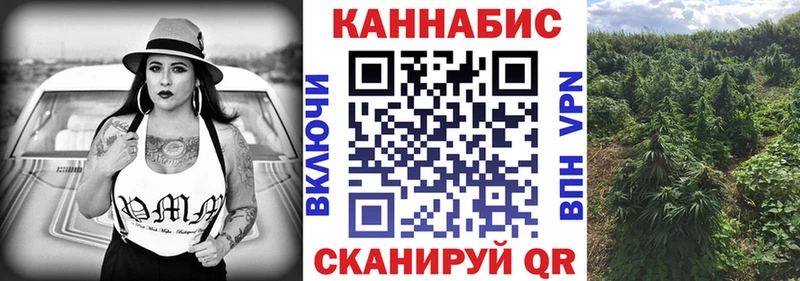 продажа наркотиков Пучеж Канабис марихуана